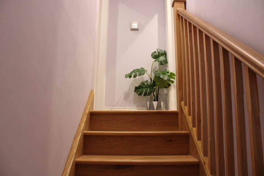 לונדון 5 Star Apartment מראה חיצוני תמונה